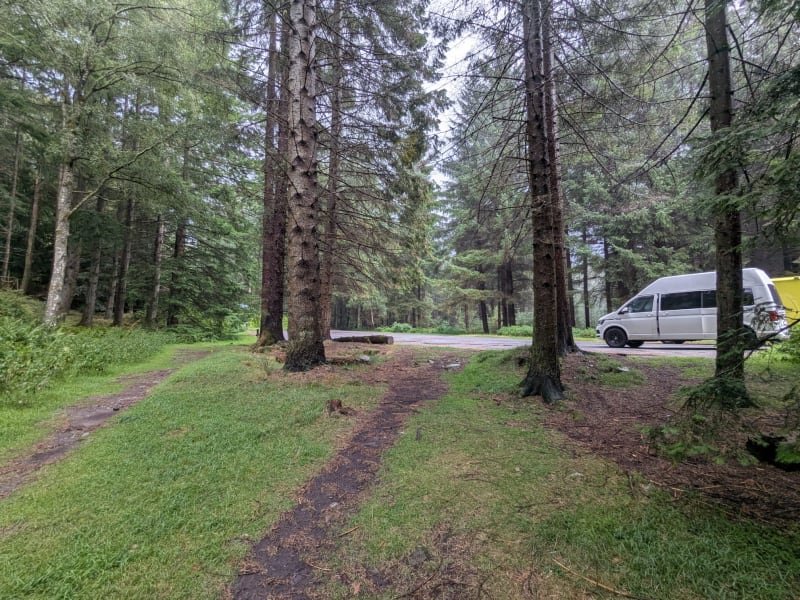 cynk1sf0u5ziyro6ls77