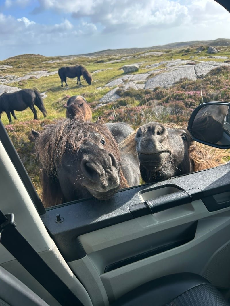 kfy9qfbsair5gjfyofis