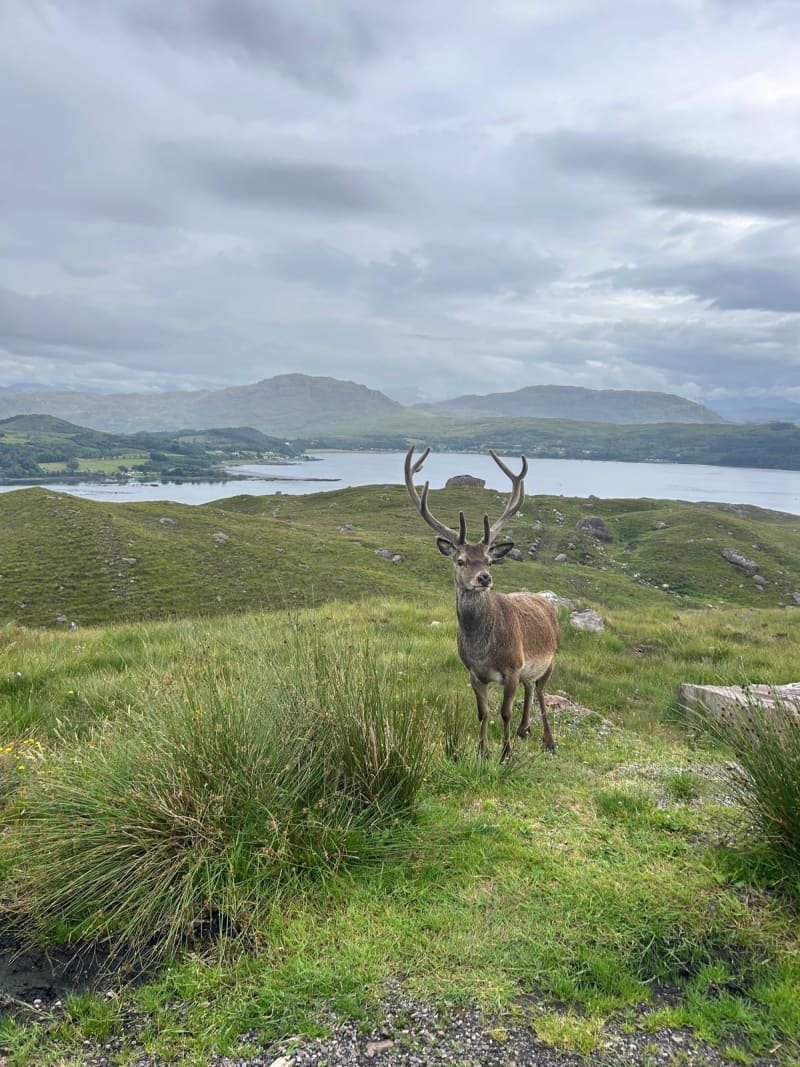 qvvpfxline4clfxr3owg